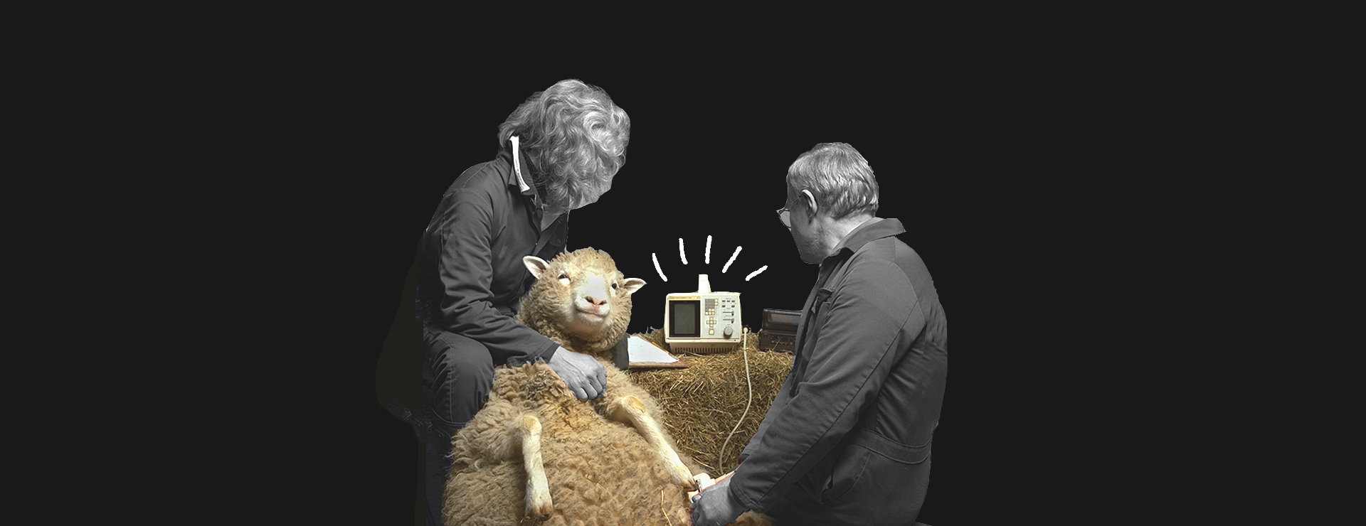 A sheep held by two people in coveralls looking at a telecommunications machine on a hay bale.