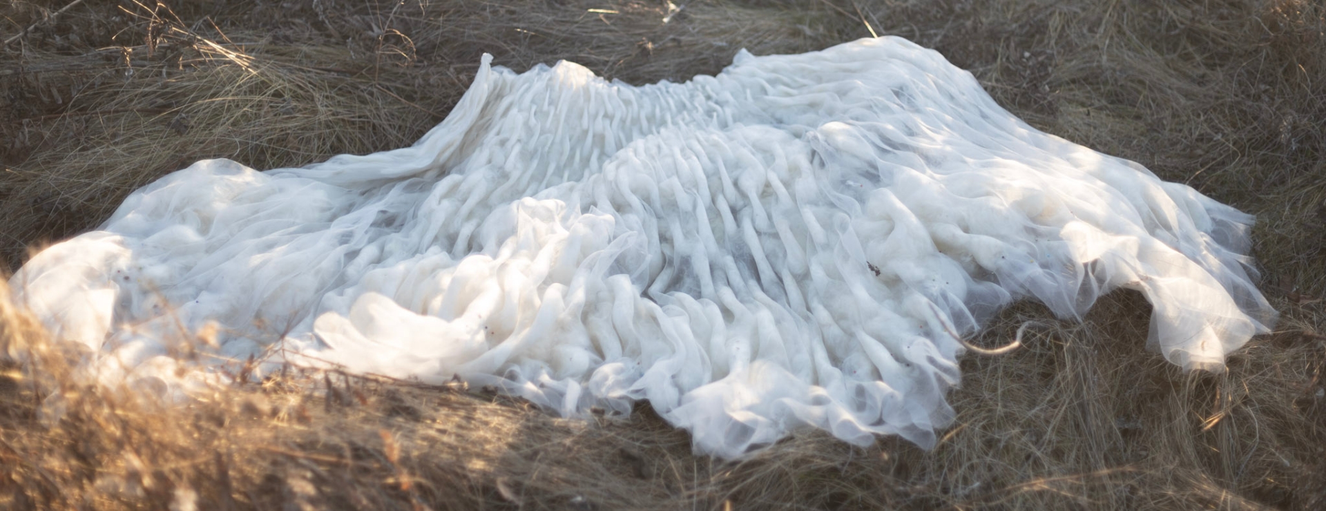 Milky white garment in a grassy field