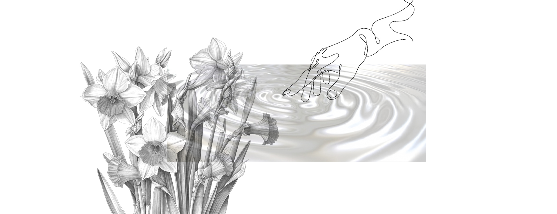 Black-and-white collage of a line drawing hand touching a silver pool with an etching of narcissus flowers.